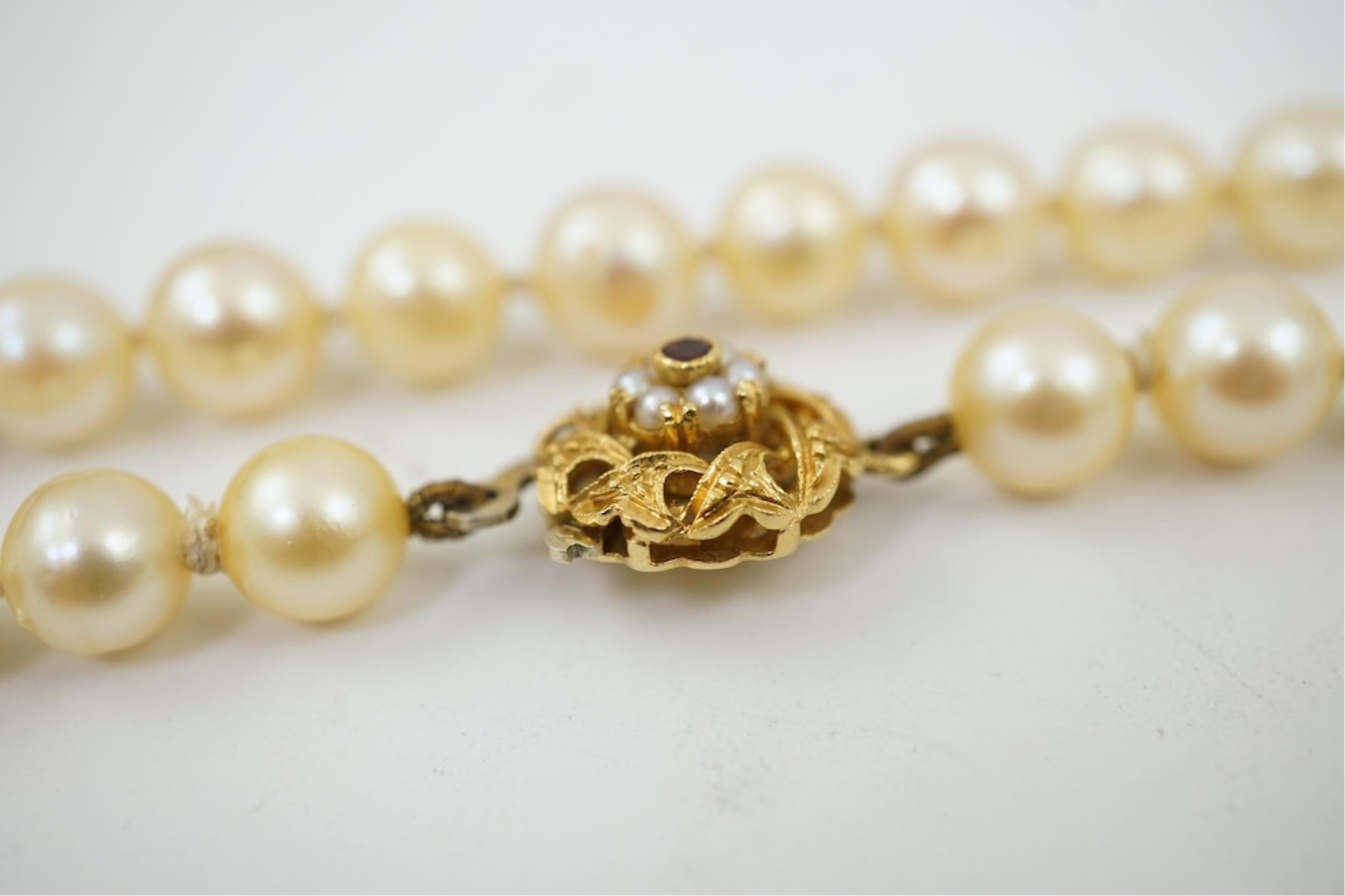 A single strand cultured pearl necklace, wit an 18ct gold, ruby and seed pearl cluster set clasp, 40cm.